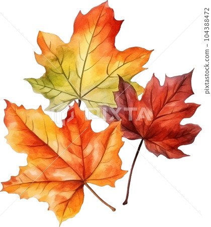 autumn, harvest, watercolor, illustration, nature, yellow, fall, october, holiday, season, decoration, thanksgiving, pumpkin, leaf, isolated, orange, art, design, plant, background, garden 104388472