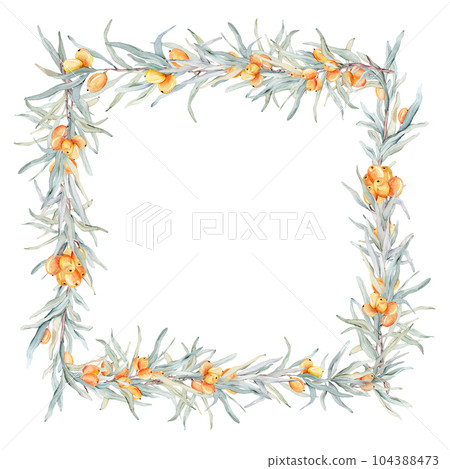 Watercolor frame of branches and orange sea buckthorn berries. Decorative element for greeting card. Illustration 104388473