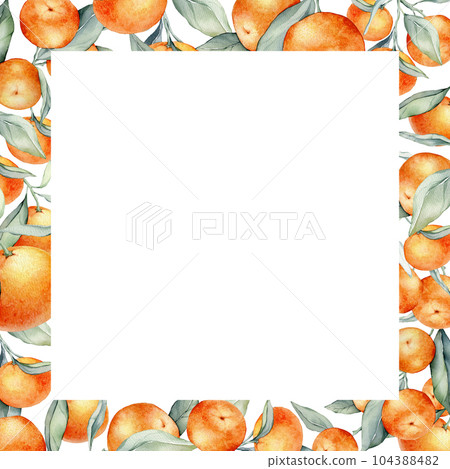 Frame with Orange Fruits. Hand drawn watercolor illustration of square Frame with citrus food and green leaves on white isolated background. Border with tropical mandarins for labels or sticker. Frame with Orange Fruits. Hand drawn watercolor illustration of square Frame with citrus food and green leaves on white isolated background. Border with tropical mandarins for labels or sticker. 104388482