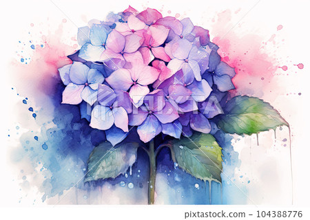 A single hydrangea wet in the rain, watercolor painting 104388776