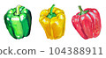Illustration set of 3 color peppers and paprika 104388911