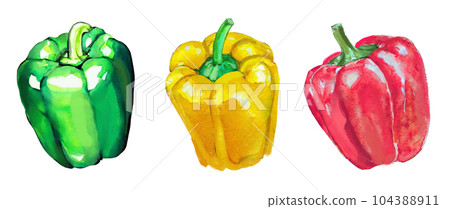 3色辣椒和辣椒粉的插圖集 104388911