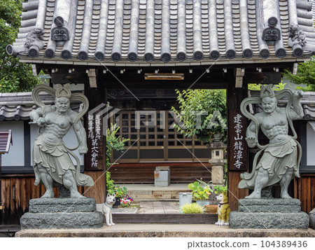 龍潭寺院內風景 104389436