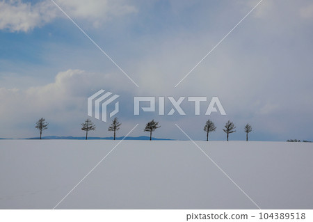 Kushiro winter scenery 104389518