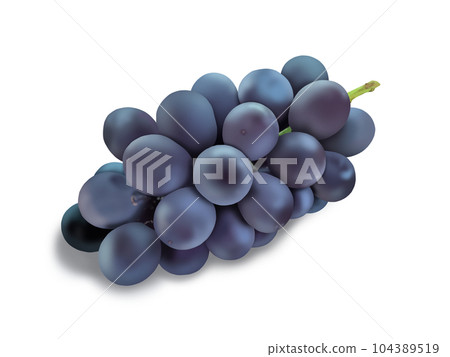 Kyoho grape with shadow 104389519