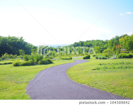 北海道風景 十勝丘陵風景 北海道風景 十勝丘陵風景 104389842