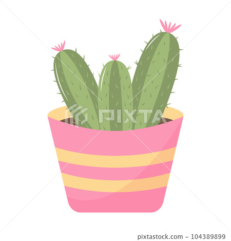Cute blooming cactus in a pot. Domestic plant in pastel colors isolated on white background. 104389899