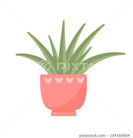 Cute cactus in a pot. Domestic succulent plant in pastel colors isolated on white background. 104389904