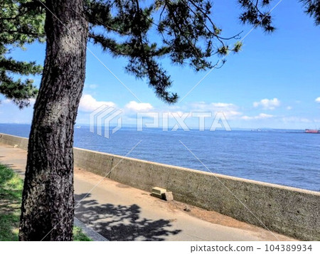 散步一天 104389934