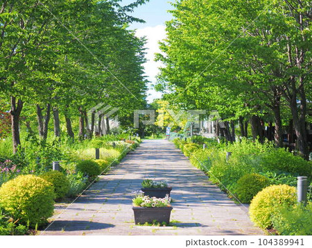 北海道風景 十勝丘陵風景 北海道風景 十勝丘陵風景 104389941