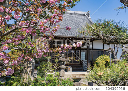 龍潭寺、岩倉織田氏的家廟、小牧長久手之戰時德川家康駐足的寺廟、遷移後的九正寺大雄寶殿 104390936