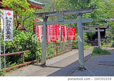 甲斐善光寺（甲府） 104391039