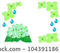 Hydrangea of fresh green 104391186