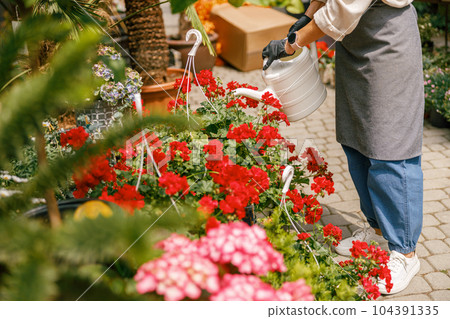 Close up of woman florist taking care of plant watering it in floral shop 104391335