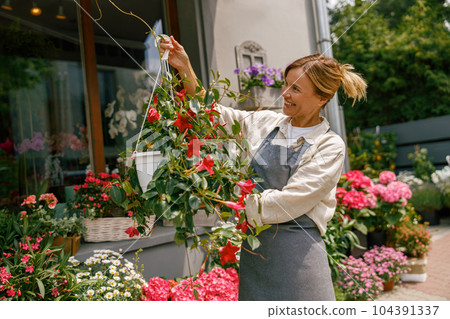 Female florist wearing apron taking care of houseplant in flower shop. Plant care concept 104391337