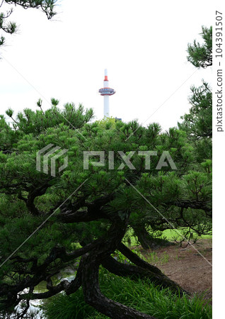 Kyoto tower seen from Bosadenoen 104391507