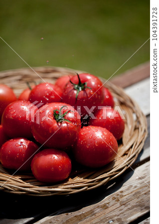 Fresh tomato 104391728