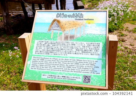 Thatched boat hut Lake Mikata Lakeside Mikata Five Lakes Funagoya thatched roof Wakasa Town Fukui Mikata Kaminaka District Sakura Spring scenery Thatched boat hut Lake Mikata Lakeside Mikata Five Lakes Funagoya thatched roof Wakasa Town Fukui Mikata Kaminaka District Sakura Spring scenery 104392141