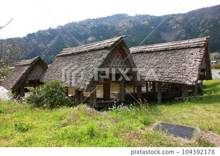 茅草船小屋 三方湖湖畔 三方五湖 船名屋茅草屋頂 若狹町 福井三方上區 櫻花 春天的風景 茅草船小屋 三方湖湖畔 三方五湖 船名屋茅草屋頂 若狹町 福井三方上區 櫻花 春天的風景 104392178