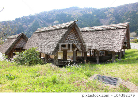茅草船小屋 三方湖湖畔 三方五湖 船名屋茅草屋頂 若狹町 福井三方上區 櫻花 春天的風景 茅草船小屋 三方湖湖畔 三方五湖 船名屋茅草屋頂 若狹町 福井三方上區 櫻花 春天的風景 104392179