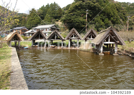 Thatched boat hut Lake Mikata Lakeside Mikata Five Lakes Funagoya thatched roof Wakasa Town Fukui Mikata Kaminaka District Sakura Spring scenery 104392189