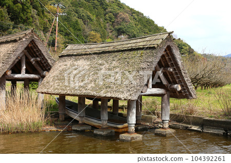 茅草船小屋 三方湖湖畔 三方五湖 船名屋茅草屋頂 若狹町 福井三方上區 櫻花 春天的風景 104392261