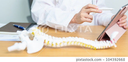 Doctor with human Spine anatomy model. Spinal Cord Disorder and disease, Back pain, Lumbar, Sacral pelvis, Cervical neck, Thoracic, Coccyx, Orthopedist, chiropractic, Office Syndrome and health Doctor with human Spine anatomy model. Spinal Cord Disorder and disease, Back pain, Lumbar, Sacral pelvis, Cervical neck, Thoracic, Coccyx, Orthopedist, chiropractic, Office Syndrome and health 104392668