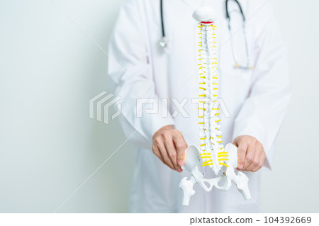 Doctor with human Spine anatomy model. Spinal Cord Disorder and disease, Back pain, Lumbar, Sacral pelvis, Cervical neck, Thoracic, Coccyx, Orthopedist, chiropractic, Office Syndrome and health Doctor with human Spine anatomy model. Spinal Cord Disorder and disease, Back pain, Lumbar, Sacral pelvis, Cervical neck, Thoracic, Coccyx, Orthopedist, chiropractic, Office Syndrome and health 104392669