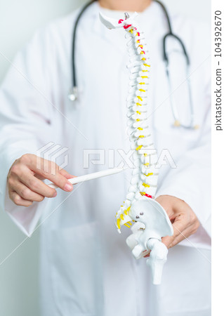 Doctor with human Spine anatomy model. Spinal Cord Disorder and disease, Back pain, Lumbar, Sacral pelvis, Cervical neck, Thoracic, Coccyx, Orthopedist, chiropractic, Office Syndrome and health Doctor with human Spine anatomy model. Spinal Cord Disorder and disease, Back pain, Lumbar, Sacral pelvis, Cervical neck, Thoracic, Coccyx, Orthopedist, chiropractic, Office Syndrome and health 104392670