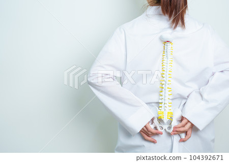 Doctor with human Spine anatomy model. Spinal Cord Disorder and disease, Back pain, Lumbar, Sacral pelvis, Cervical neck, Thoracic, Coccyx, Orthopedist, chiropractic, Office Syndrome and health 104392671
