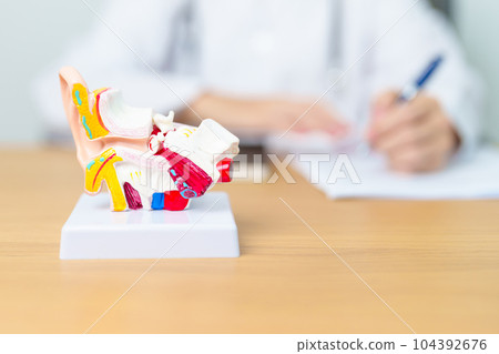 Doctor with human Ear anatomy model. Ear disease, Atresia, Otitis Media, Pertorated Eardrum, Meniere syndrome, otolaryngologist, Ageing Hearing Loss, Schwannoma and Health Doctor with human Ear anatomy model. Ear disease, Atresia, Otitis Media, Pertorated Eardrum, Meniere syndrome, otolaryngologist, Ageing Hearing Loss, Schwannoma and Health 104392676