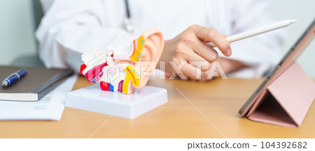 Doctor with human Ear anatomy model with tablet. Ear disease, Atresia, Otitis Media, Pertorated Eardrum, Meniere syndrome, otolaryngologist, Ageing Hearing Loss, Schwannoma and Health Doctor with human Ear anatomy model with tablet. Ear disease, Atresia, Otitis Media, Pertorated Eardrum, Meniere syndrome, otolaryngologist, Ageing Hearing Loss, Schwannoma and Health 104392682