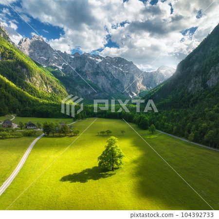 Aerial view of tree in green alpine meadows in mountains Aerial view of tree in green alpine meadows in mountains 104392733
