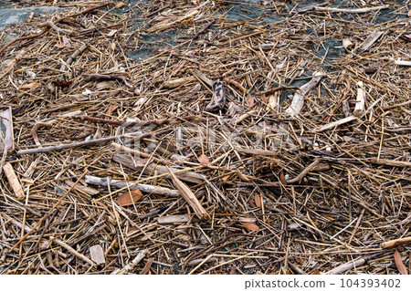 Flots washed ashore due to bad weather 104393402