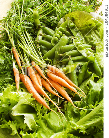 Fresh carrots, peas and lettuce 104394913