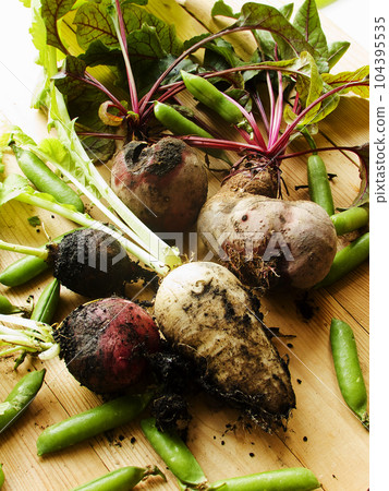 Veggies on wood Veggies on wood 104395535