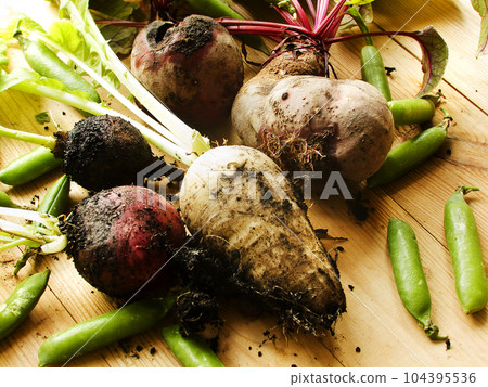 Veggies on wood Veggies on wood 104395536