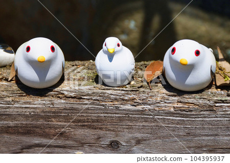 Pigeons of Miyake Hachimangu Shrine (Kamitakano, Sakyo Ward, Kyoto City) 104395937
