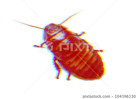 Huge madagascar hissing cockroach with glitch effect 104396130