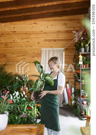 Portrait of smiling young botanist holding a fresh flower plant. Young woman holding small tree in pot in gardening center. Successful botanist and store owner thinking while standing with a pot plant Portrait of smiling young botanist holding a fresh flower plant. Young woman holding small tree in pot in gardening center. Successful botanist and store owner thinking while standing with a pot plant 104396308