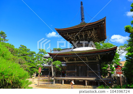 [Kyoto Prefecture] Tahoto Pagoda and Sanmon (Golden Pavilion) of Chionji Temple in Fresh Green 104396724