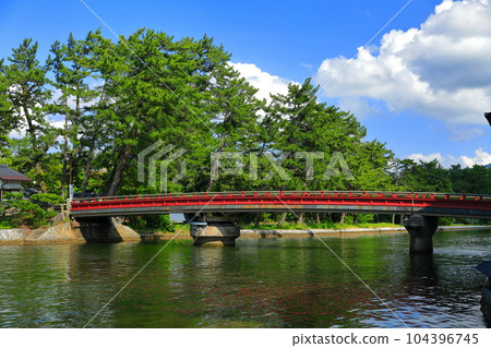 [Kyoto Prefecture] Amanohashidate Kaisen Bridge in fine weather 104396745