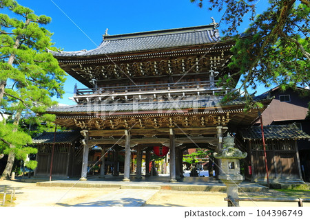 [Kyoto Prefecture] Sanmon Gate (Golden Pavilion) of Chionji Temple in Fresh Green 104396749