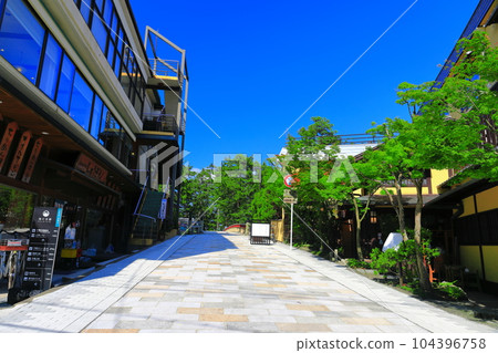 [Kyoto Prefecture] Souvenir shop in Amanohashidate on a sunny day 104396758