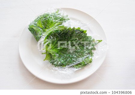 用保鮮膜包裹的青紫蘇醃製青紫蘇 104396806