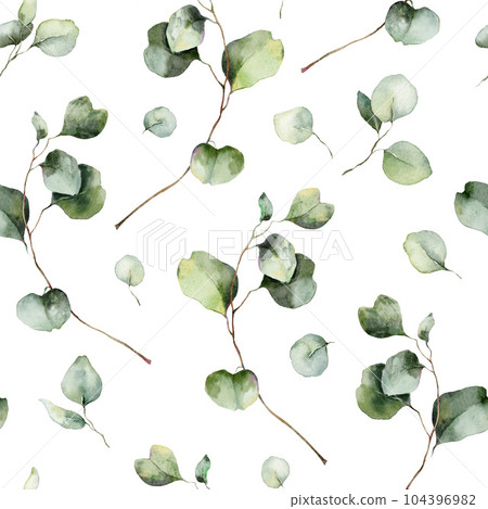 Watercolor floral seamless pattern of eucalyptus branches with leaves and seeds. Hand painted nature ornament isolated on white background. Illustration for design, print, fabric or background. 104396982