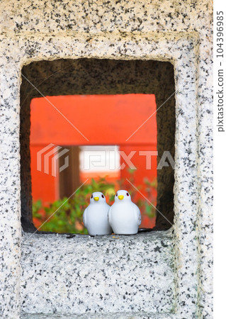 三宅八幡宮的鴿子(京都市左京區上高野) 三宅八幡宮的鴿子(京都市左京區上高野) 104396985