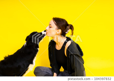 Portrait of female posing with a border collie in studio, yellow and red background 104397832