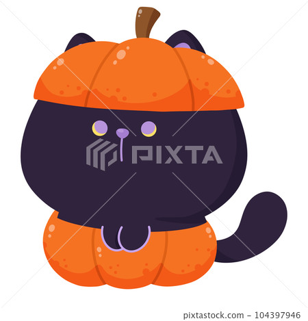 Halloween cat Halloween cat 104397946