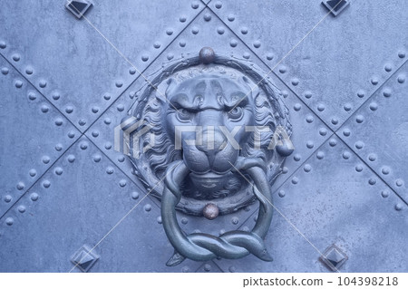 View of the iron doors with a handle. 104398218